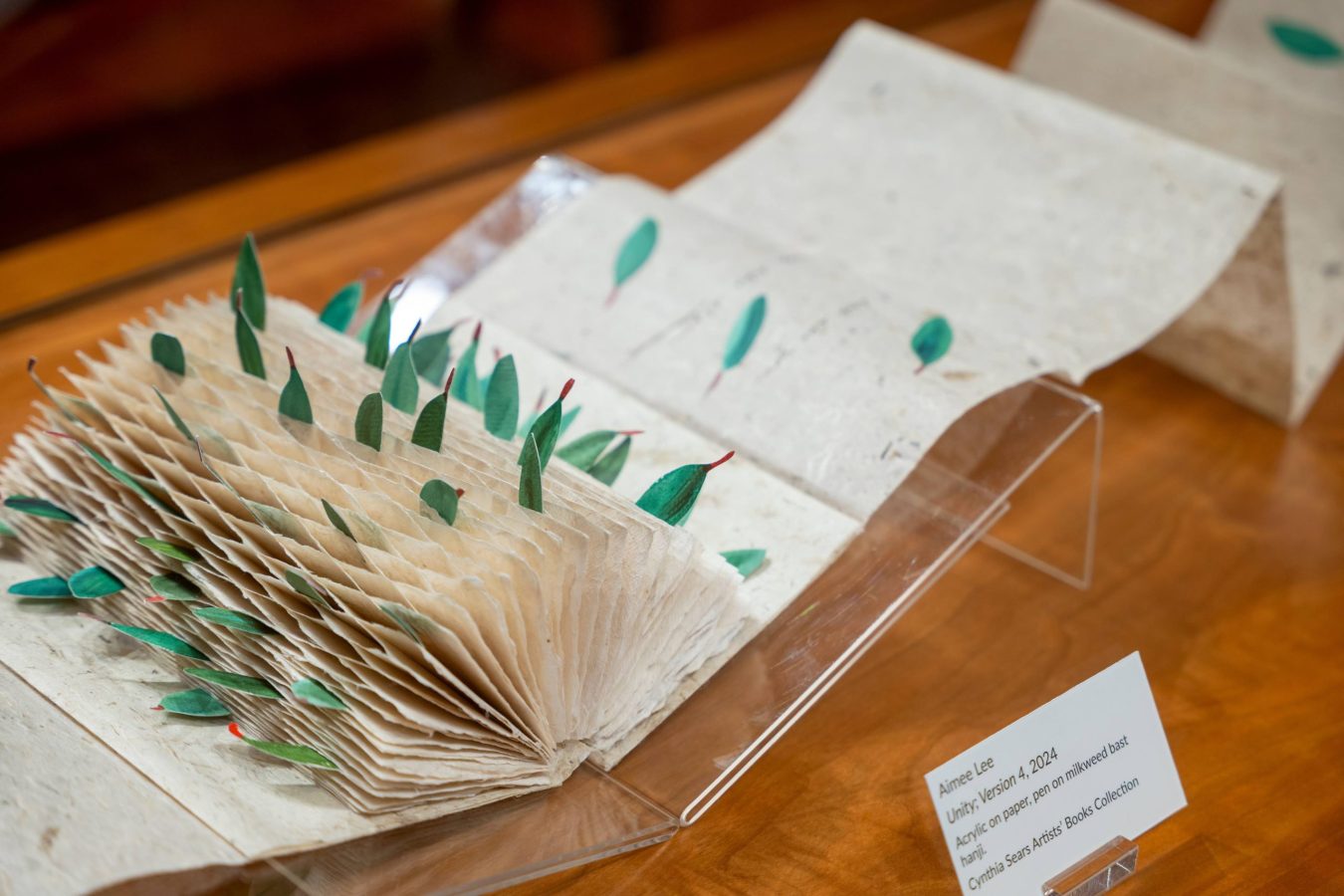 Working with paper connects artist Aimee Lee to nature and her Korean heritage